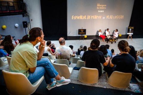 Public - Estivalul de Teatru - Teatrul Masca