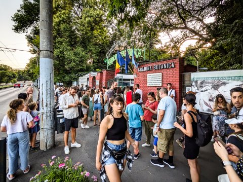 Coadă la Grădina Botanică - Șoseaua Cotroceni