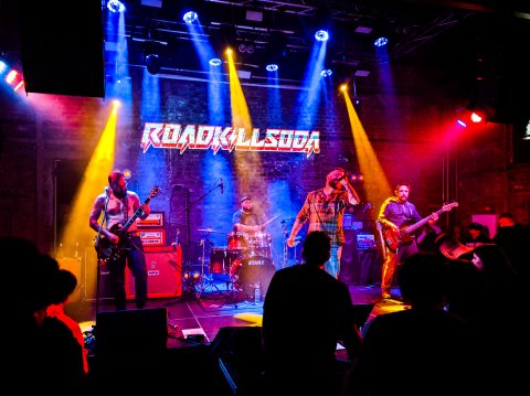 Concert Roadkillsoda - Expirat - Hala Compresoare