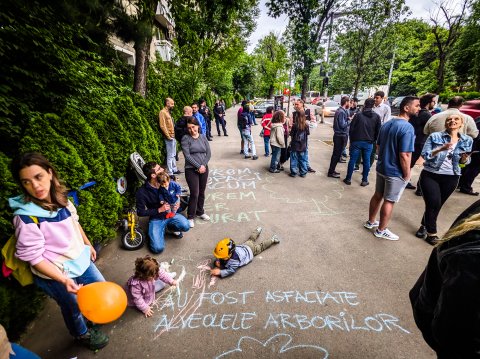 Protest împotria tăierii copacilor - Bd. Tineretului