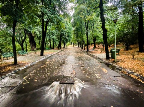 Canal după furtună - Parcul Carol