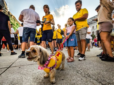 Suporteri - Euro 2024 - Piața Universității