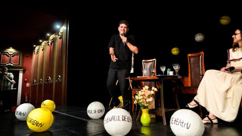 Vlad Zamfirescu - Estivalul de Teatru - Teatrul Metropolis