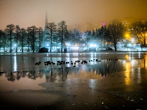 Iarna în Parcul IOR - Titan