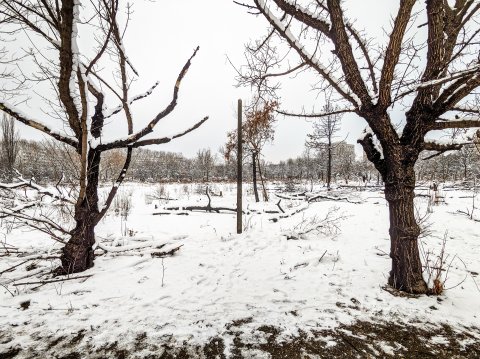 Iarna în Parcul IOR - Titan